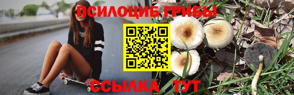 Усинск  Галлюциногенные грибы прущие грибы  Вход с VPN 